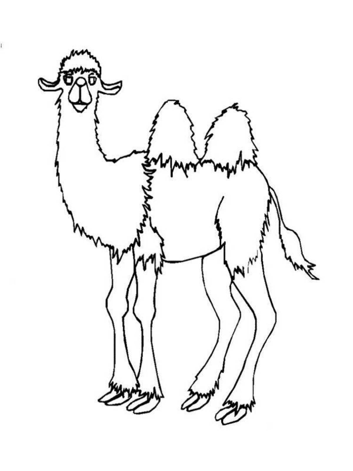Восхитительная раскраска верблюда для детей