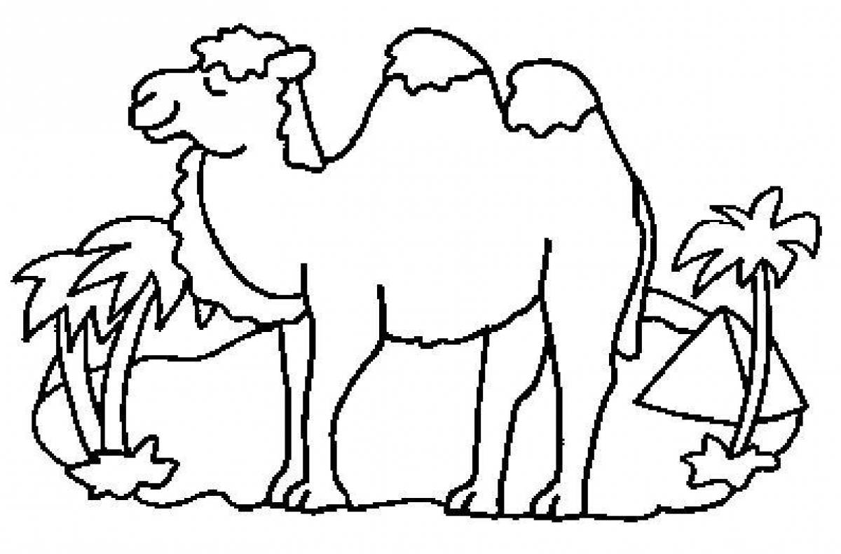 Fun coloring camel for kids