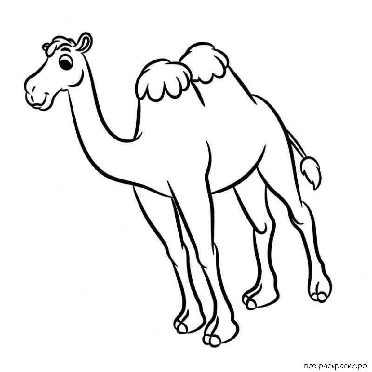 Раскраска сияющий верблюд для детей