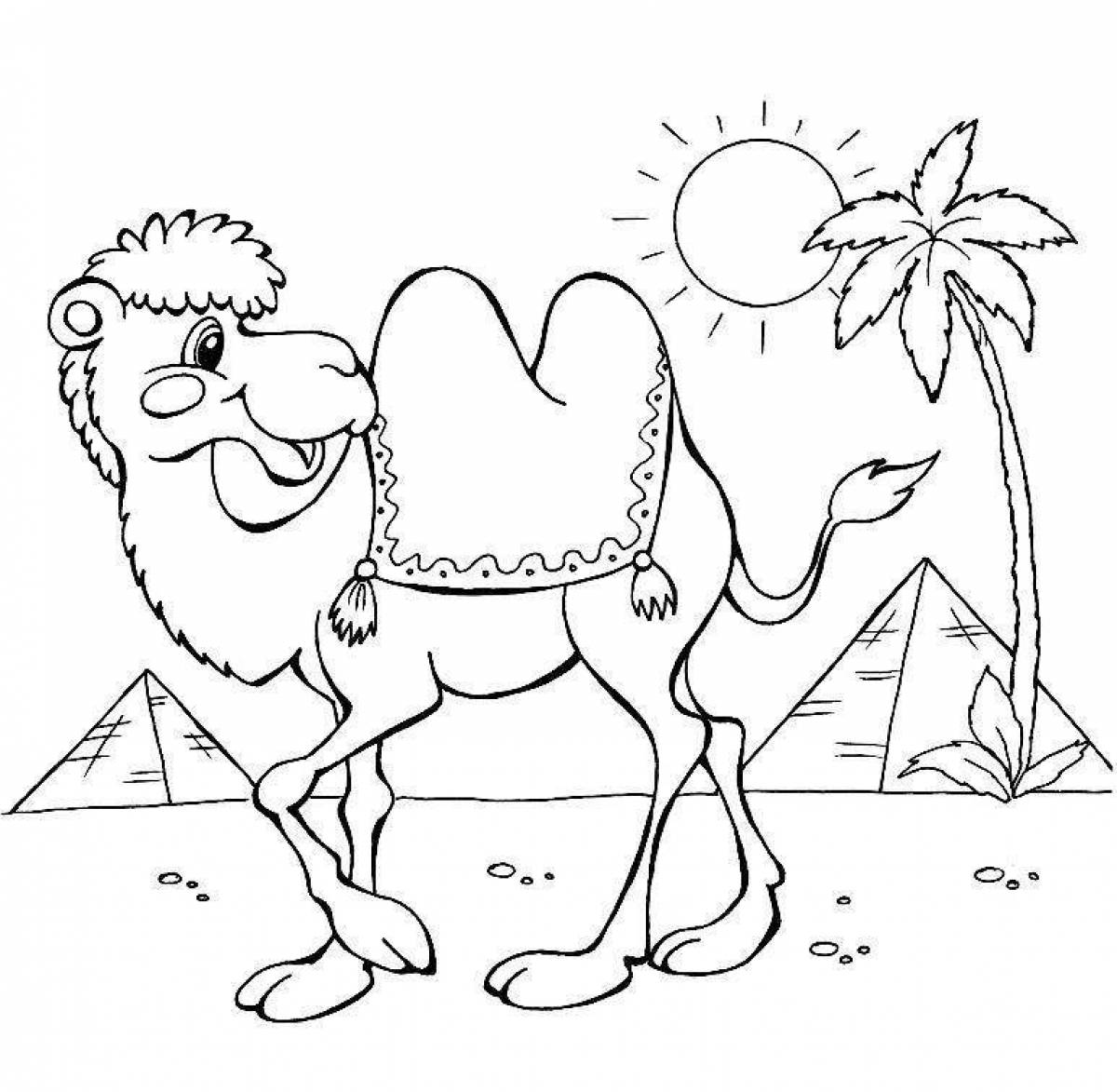 Live camel coloring book for kids