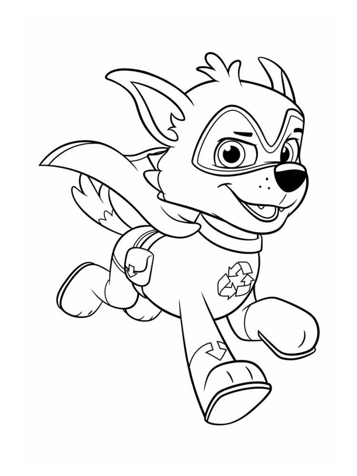 Picture paw patrol