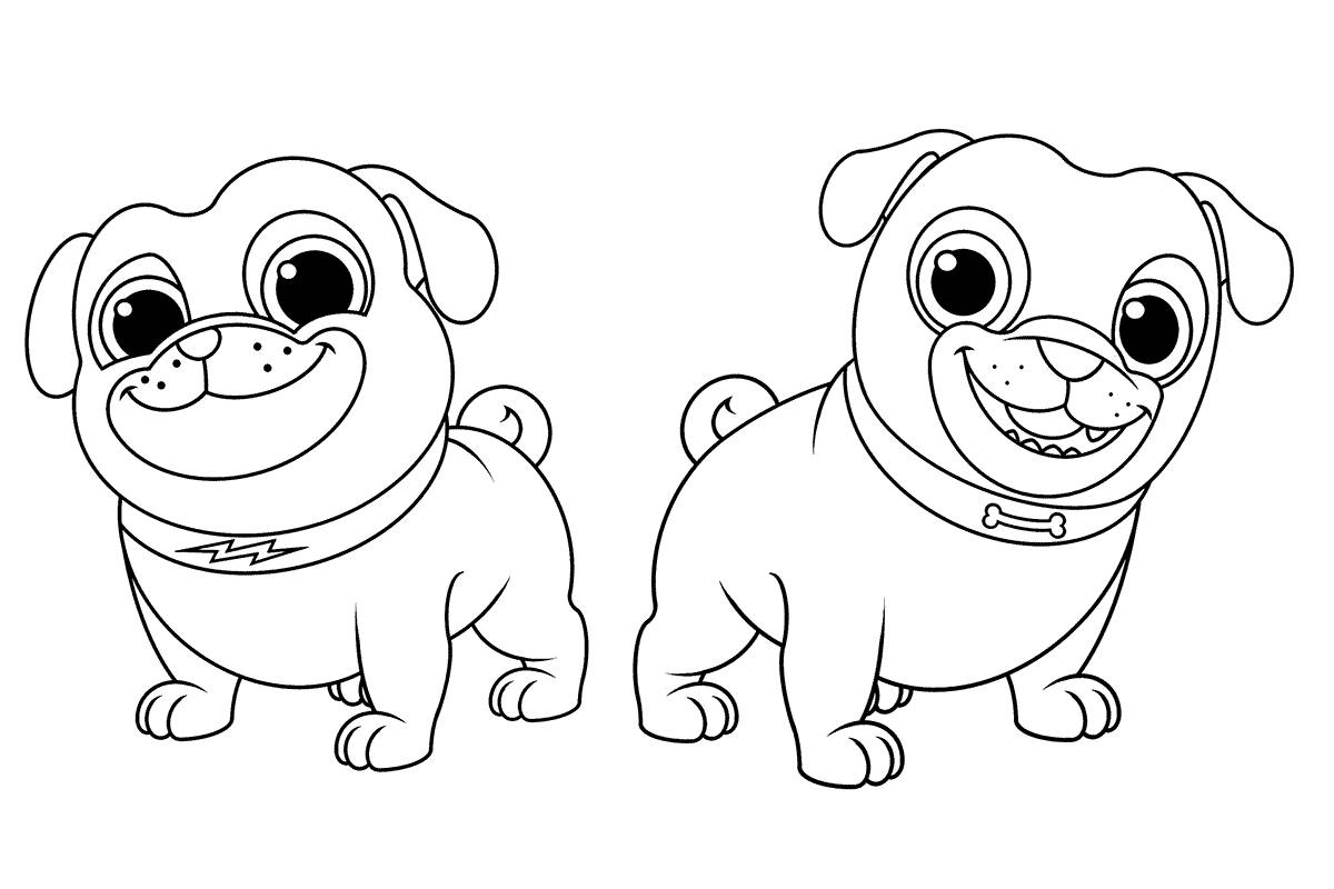 Picture friendly pugs