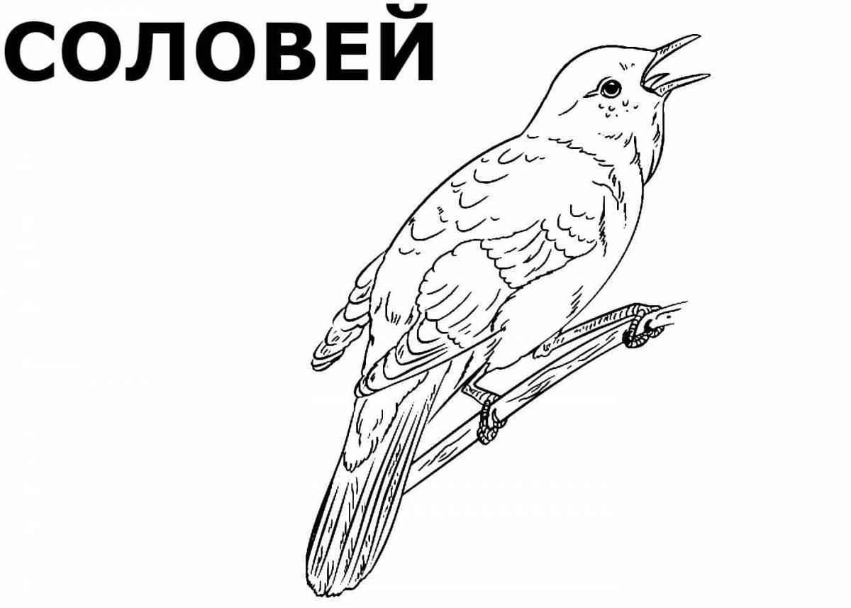 Раскраски для детей птицы распечатать бесплатно