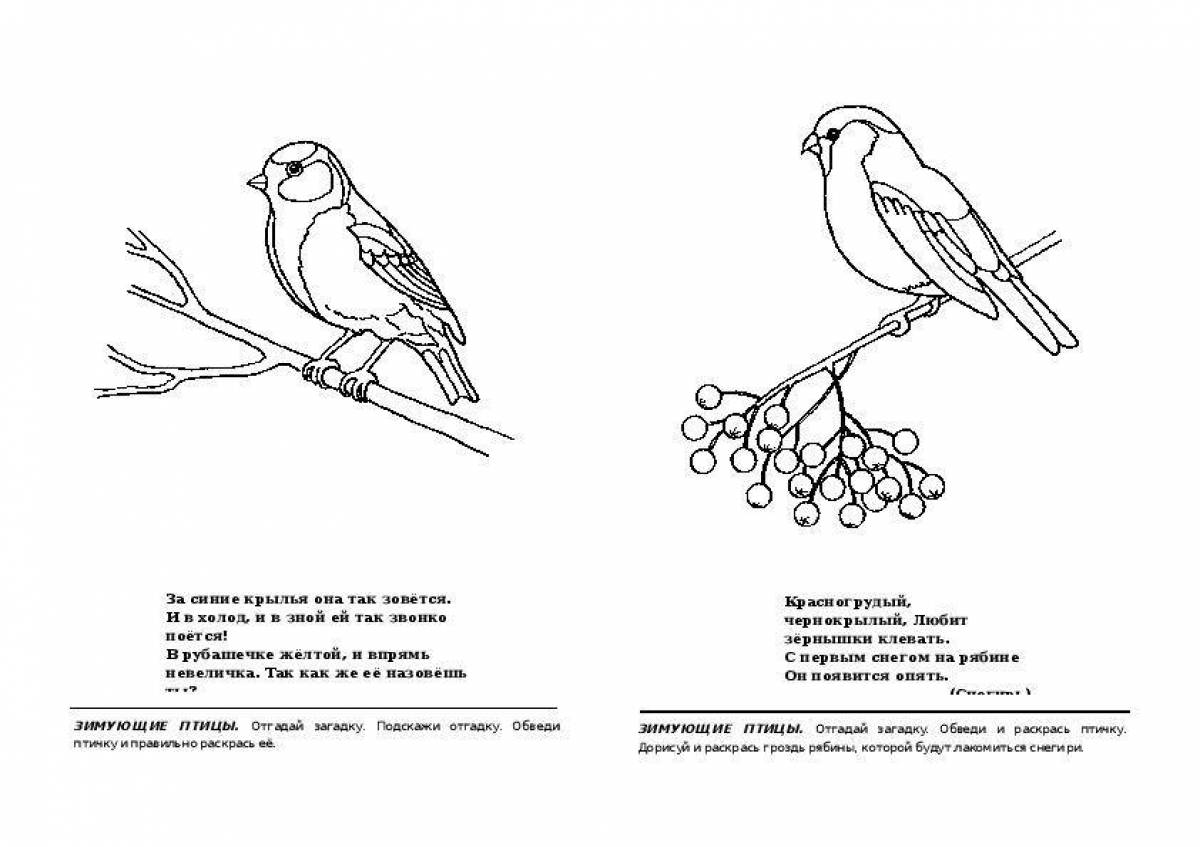 Зимующие птицы задания 1 класс. Нищева зимующие птицы старшая группа. Зимующие птицы задания для малышей. Раскраска птицы для детей средней группы синичка. Зимующие птицы логопедические задания.