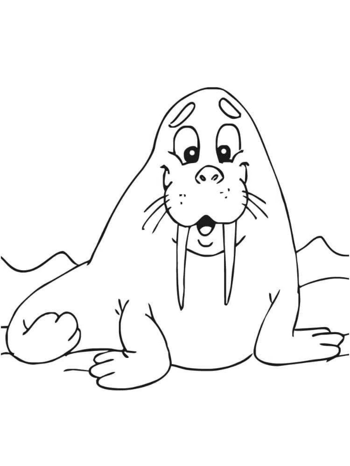 Adorable walrus coloring book for kids