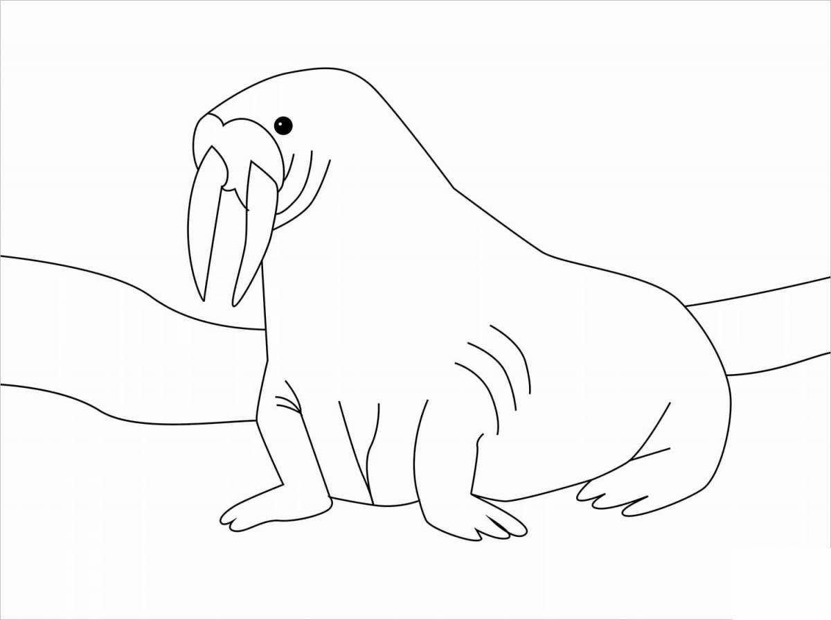Радостный морж раскраски для детей