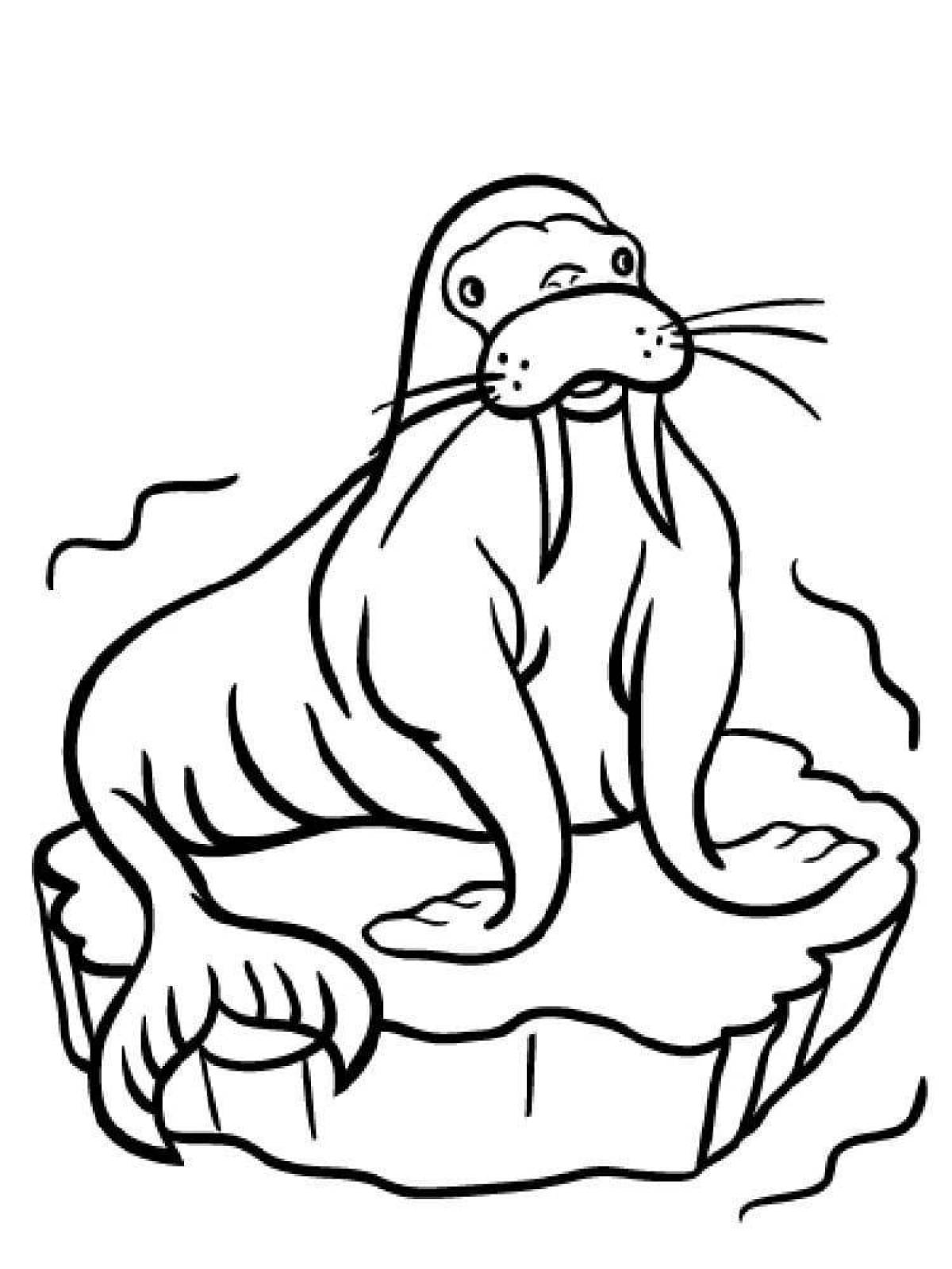 Playful walrus coloring page for kids