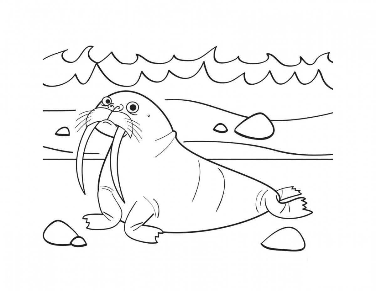 A fun walrus coloring book for kids