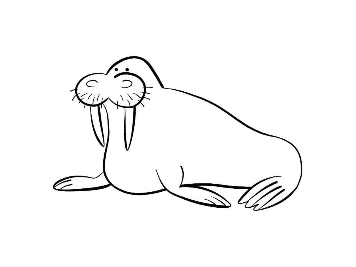 Coloring walrus for kids