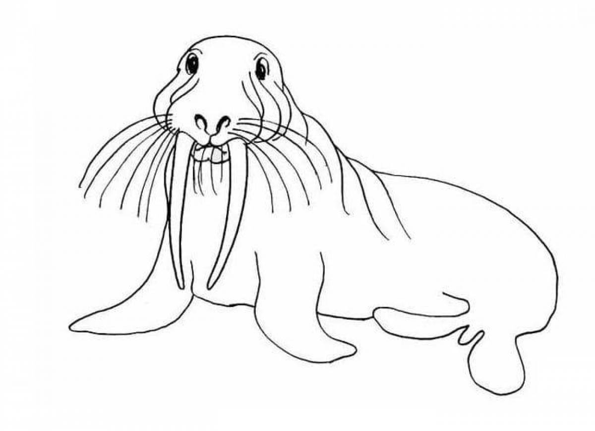 Amazing walrus coloring page for kids