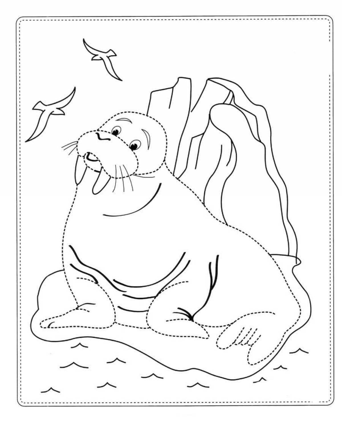 Раскраска очаровательный морж для детей