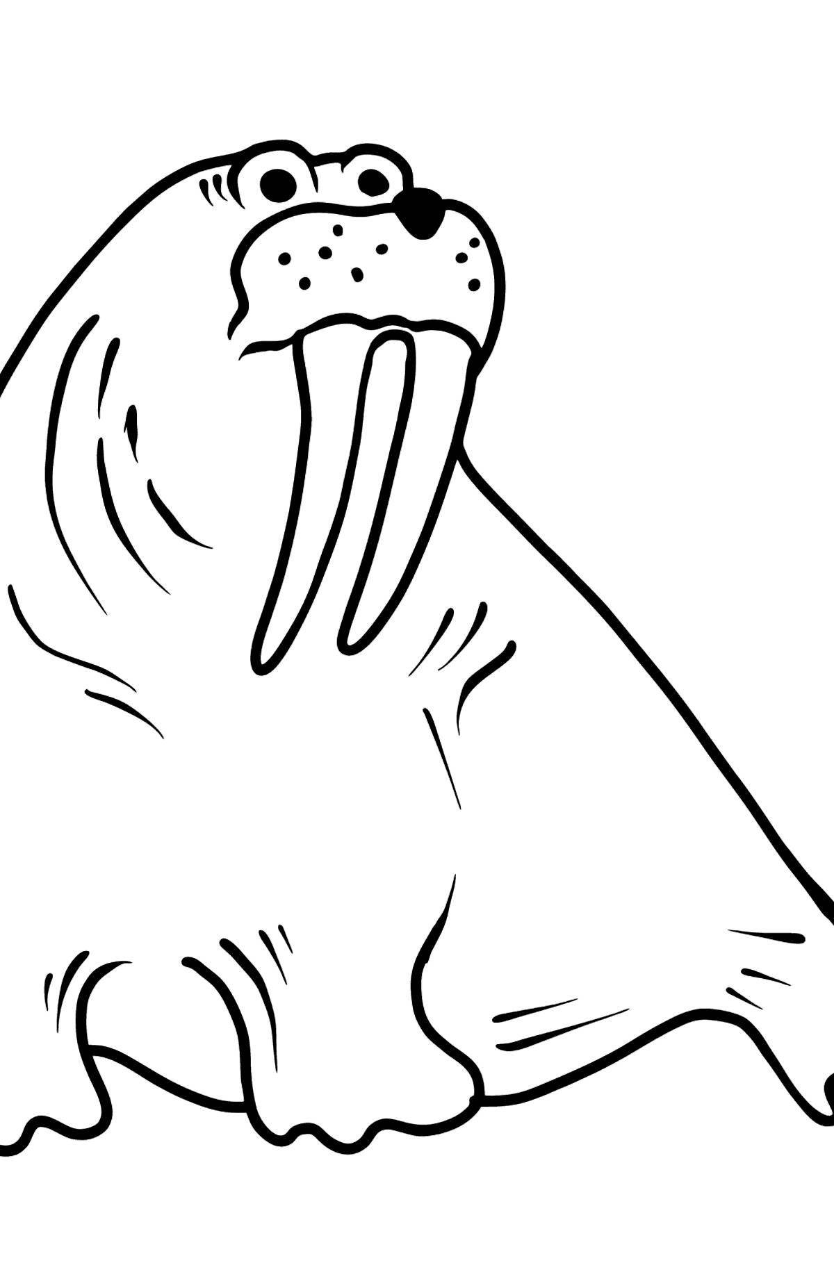 Wonderful walrus coloring for kids