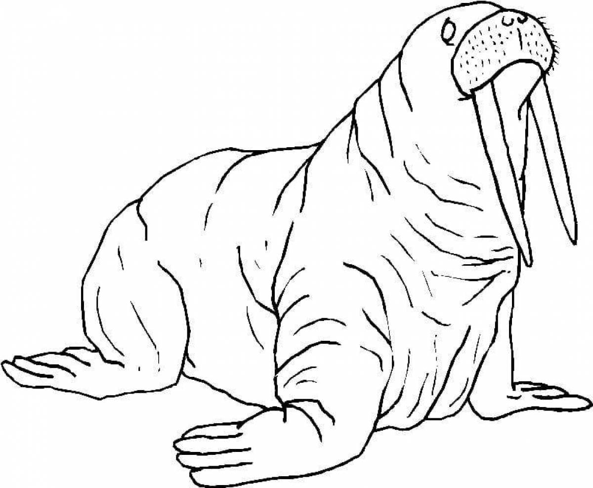 Gorgeous walrus coloring book for kids