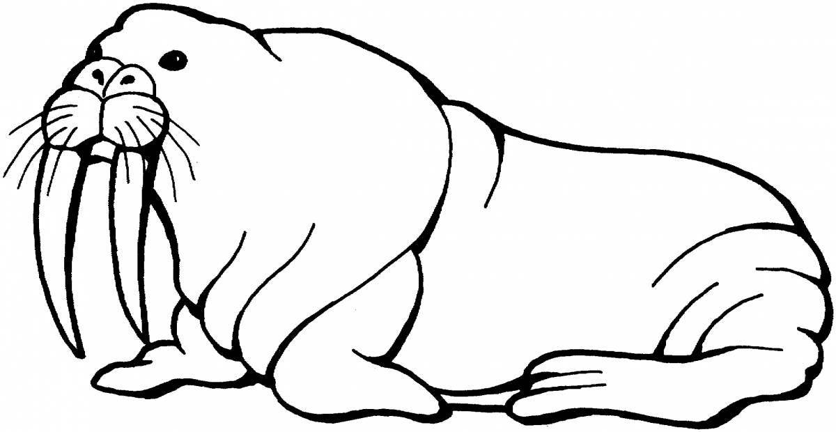 Outstanding walrus coloring page for kids