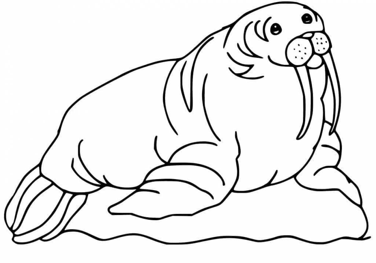 Увлекательная раскраска морж для детей