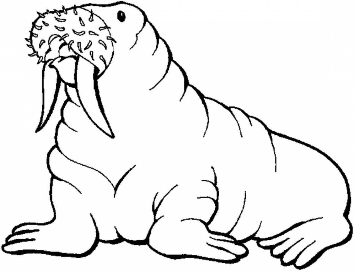Раскраска сладкий морж для детей