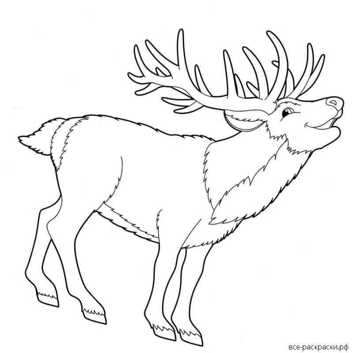 Glittering reindeer coloring book for kids