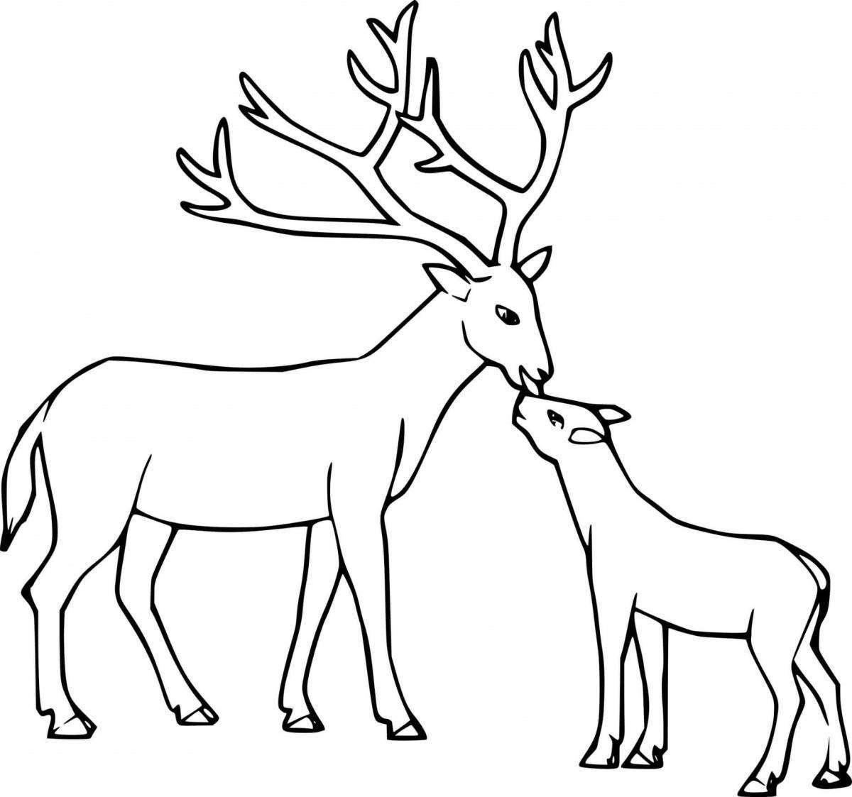 Outstanding deer coloring book for kids