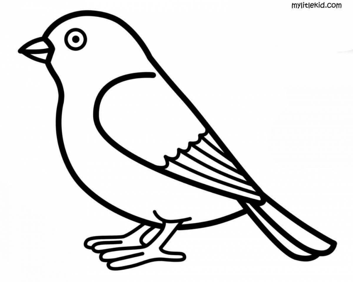 Animated bird coloring book for kids