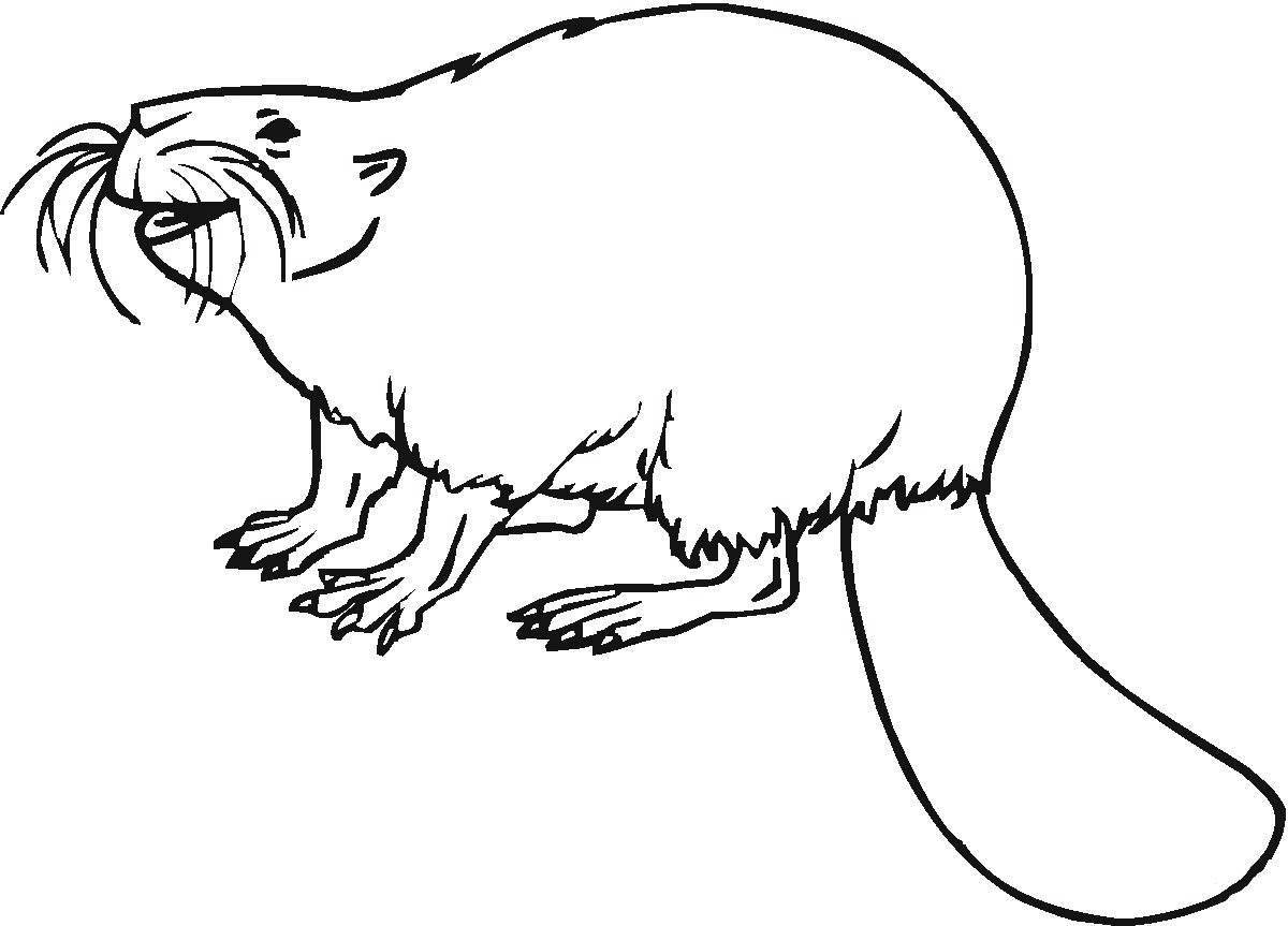 Colorful beaver coloring page