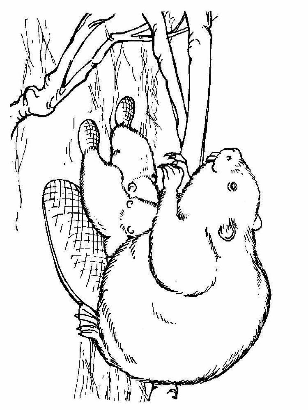 Coloring page funny beaver