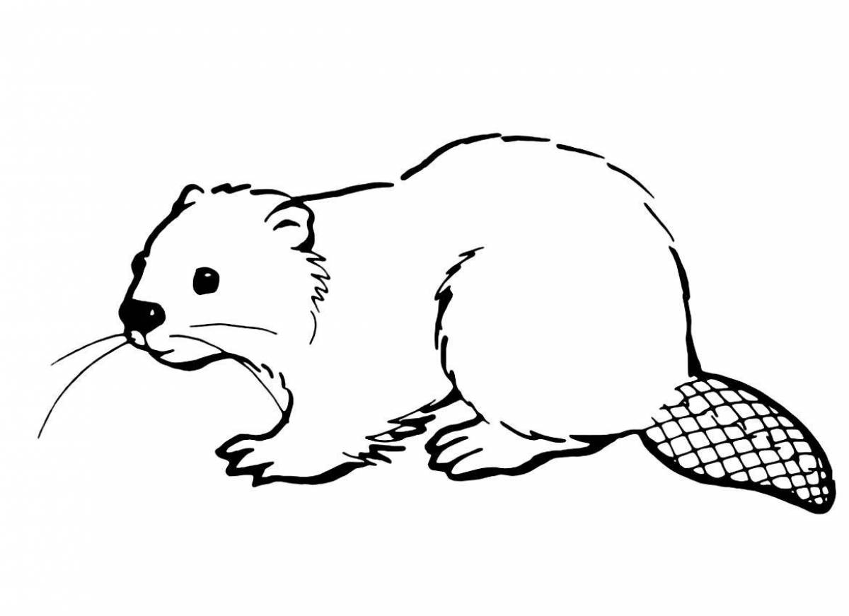 Fun beaver coloring book