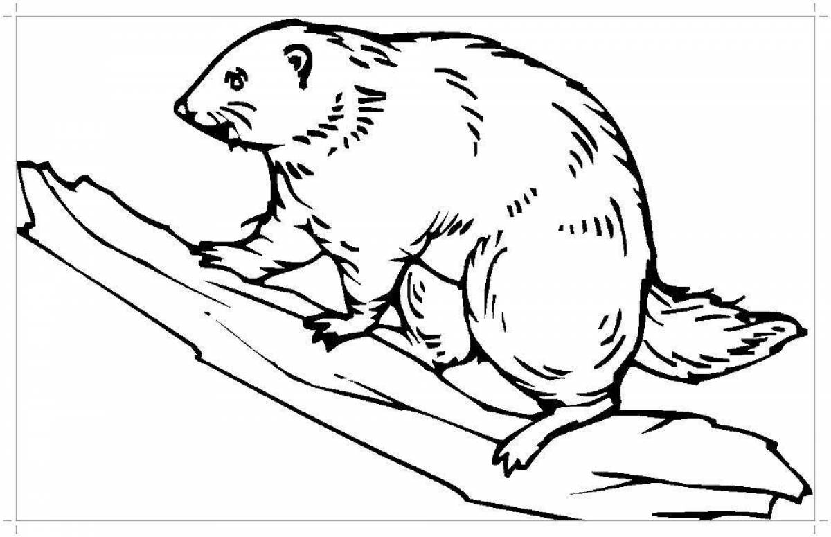 Gorgeous beaver coloring page
