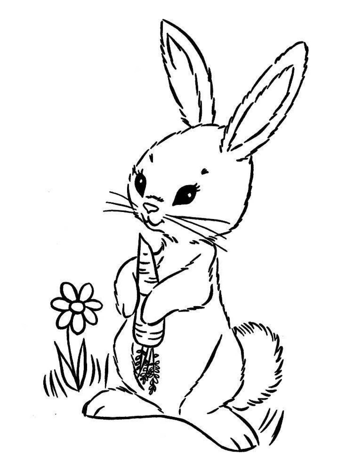 Книжка-раскраска sweet bunny
