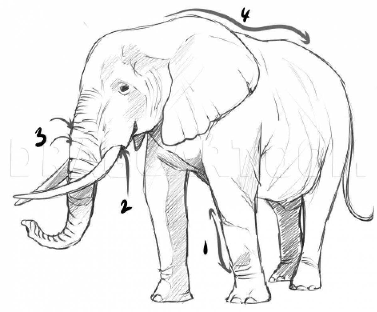 Внушительная раскраска слон куприн