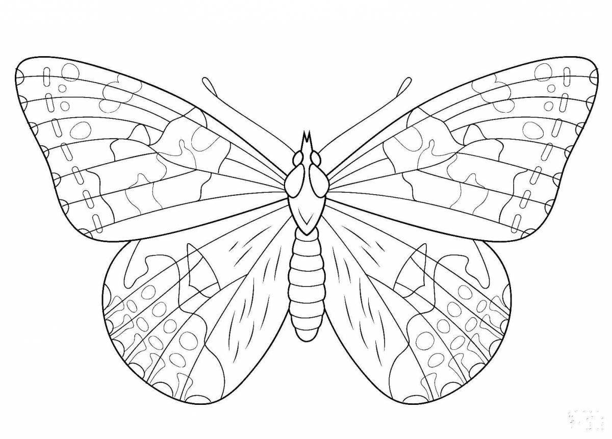 Great butterfly drawing