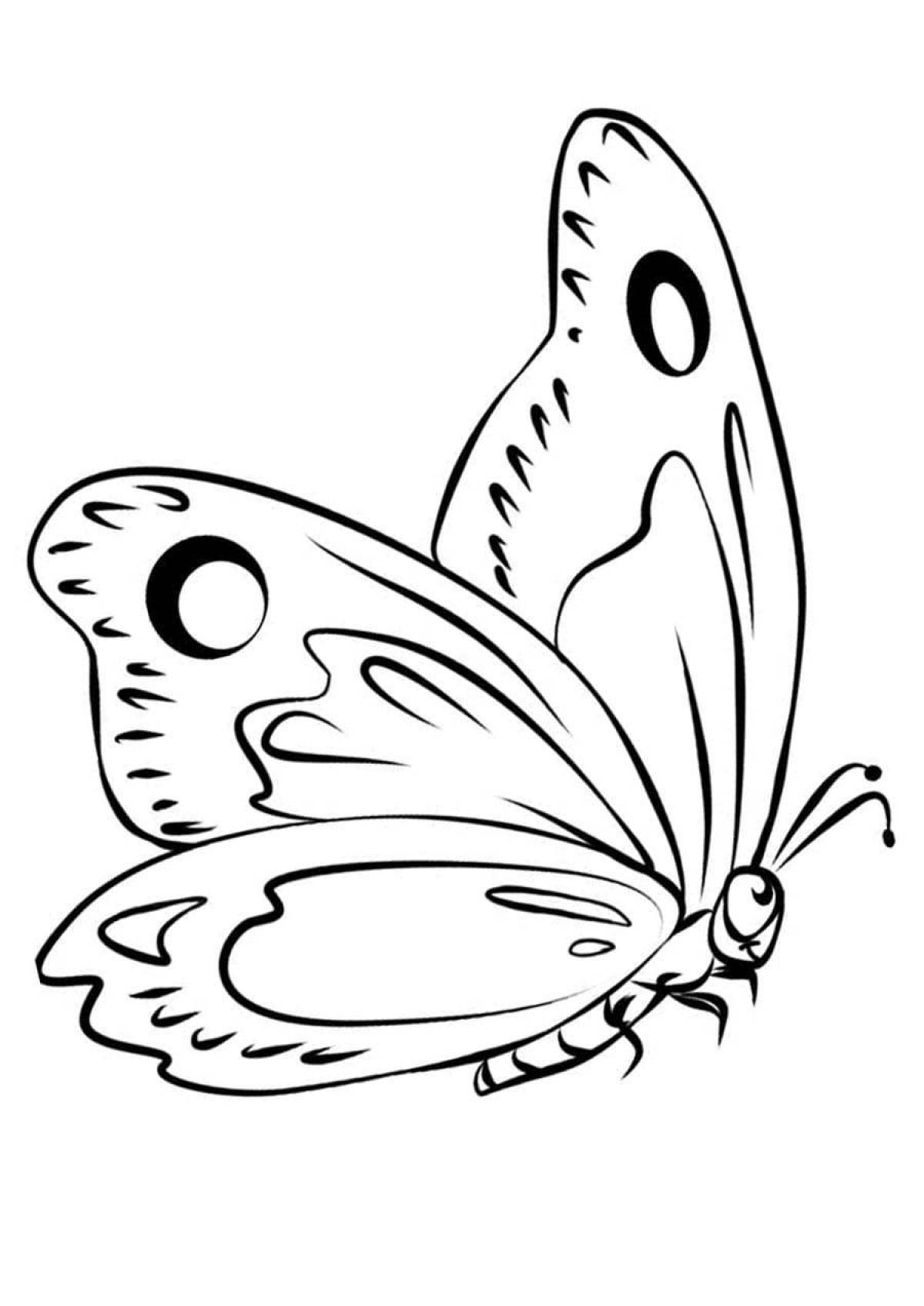 Причудливый рисунок бабочки