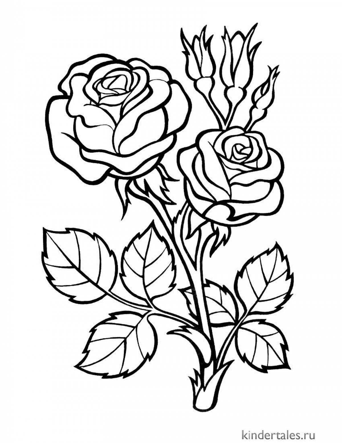Изысканная раскраска цветок розы