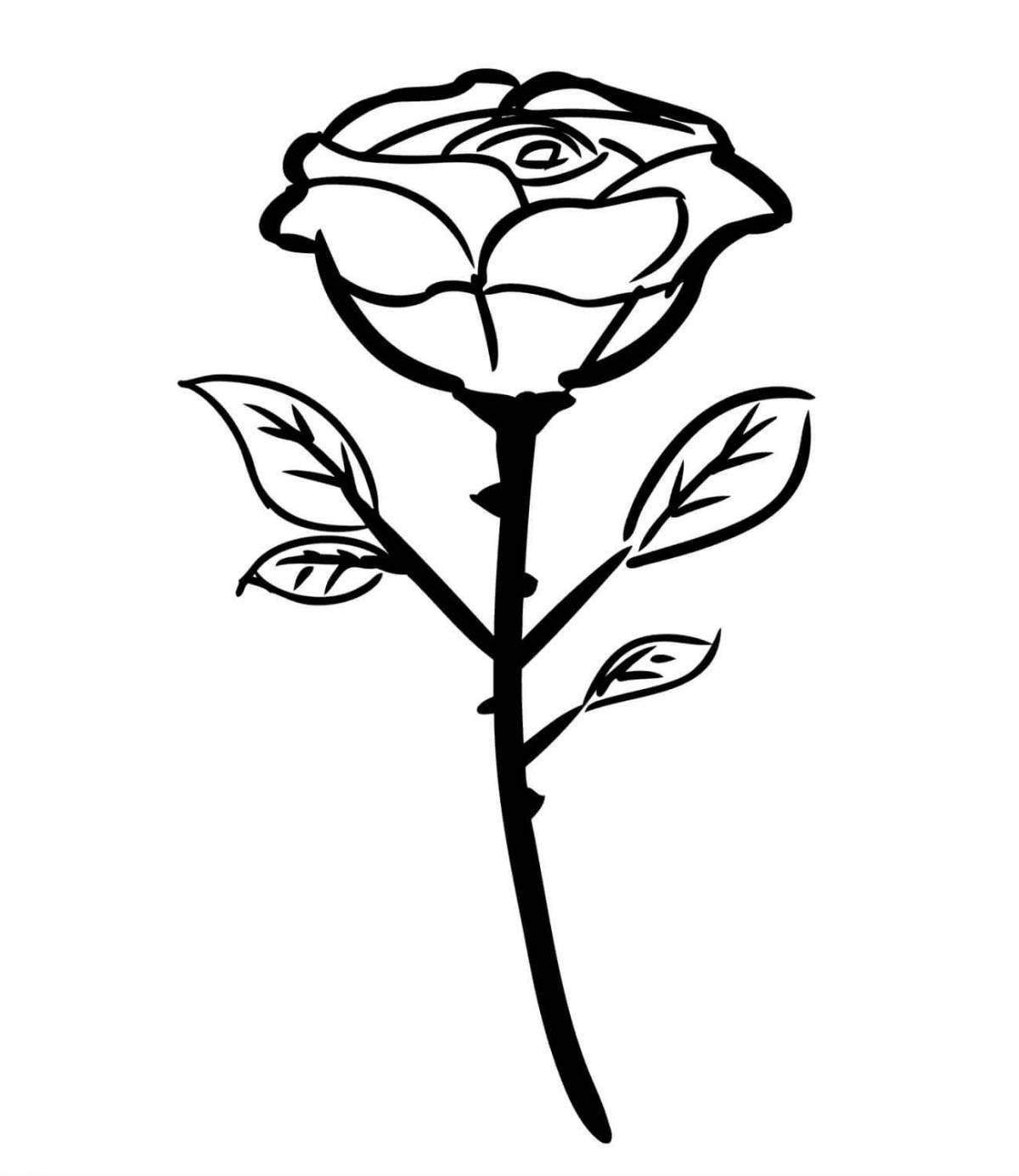 Delicate rose flower coloring book