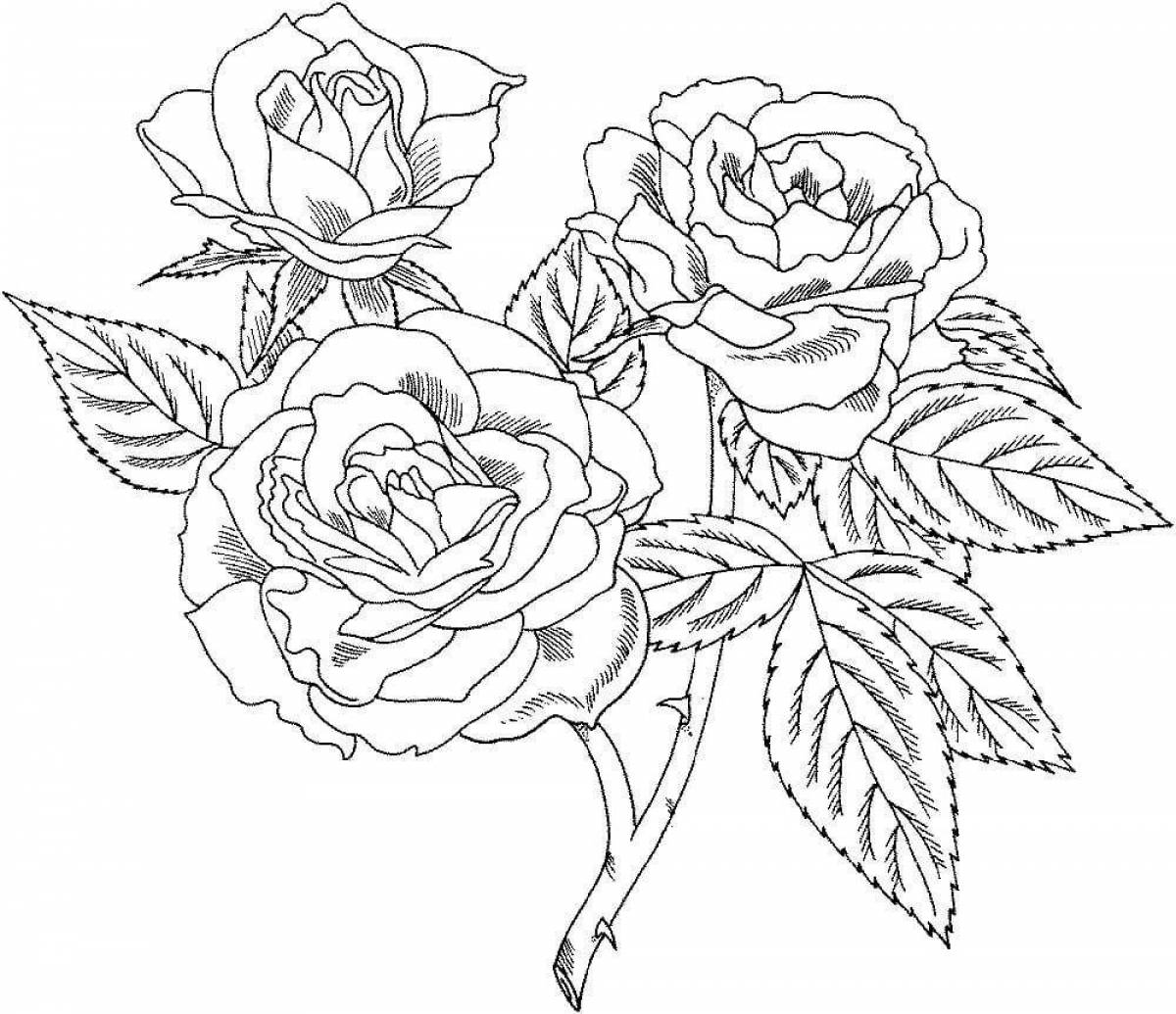 Charming rose flower coloring book