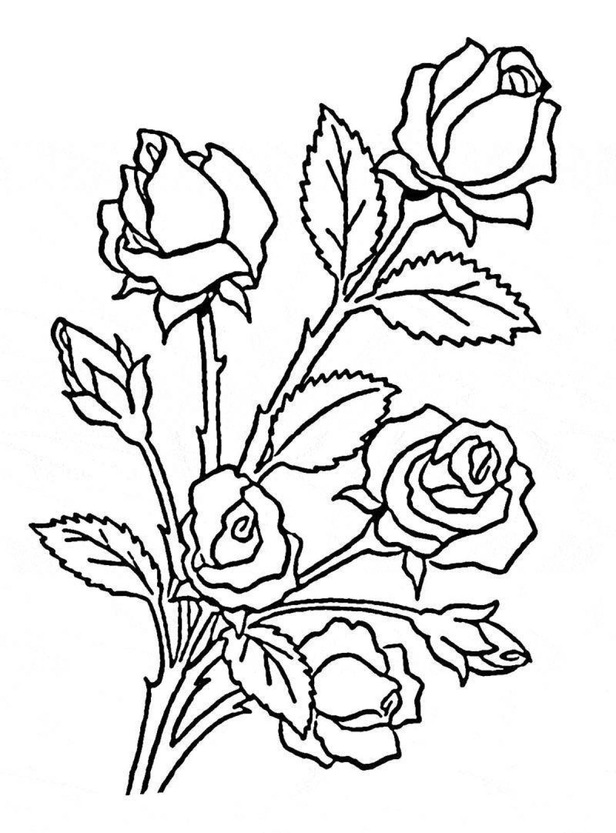 Tempting rose flower coloring book