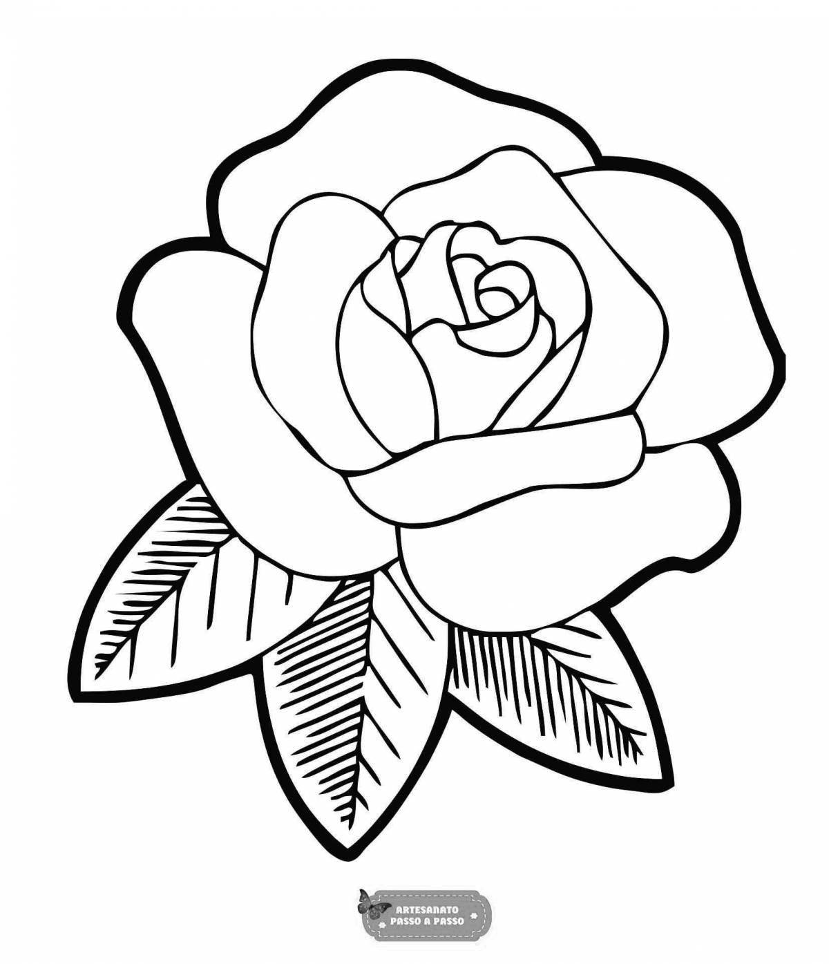 Colorful rose flower coloring book