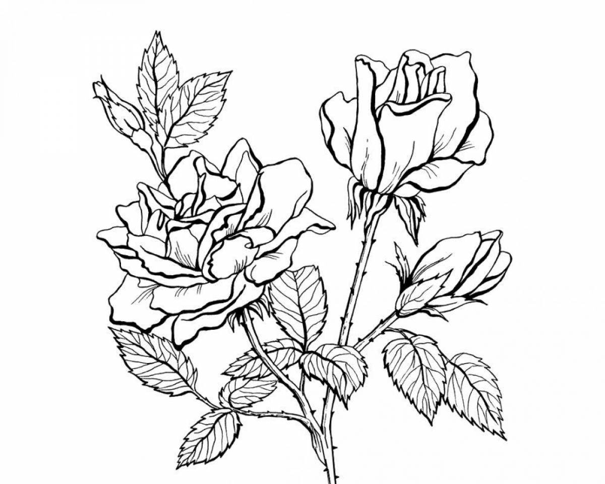 Luminous rose flower coloring book