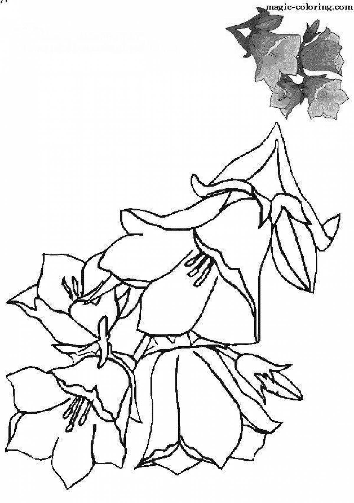 Flower bell coloring page