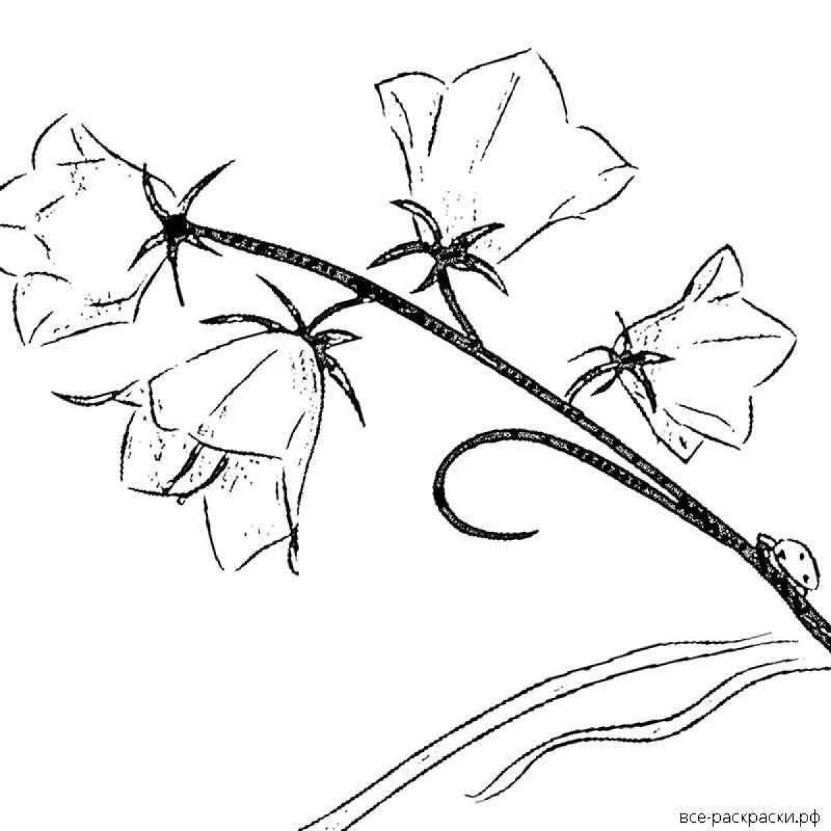 Coloring page charming flower bell