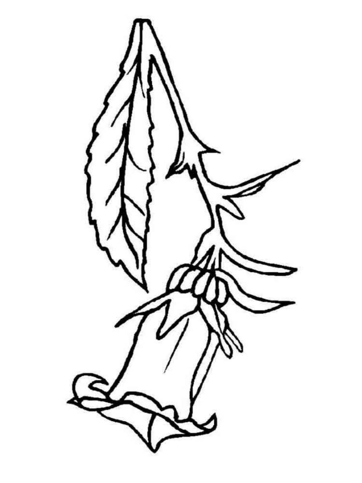 Coloring page playful flower bell