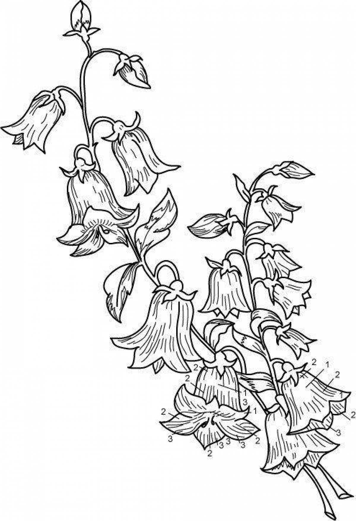 Coloring book beautiful flower bell