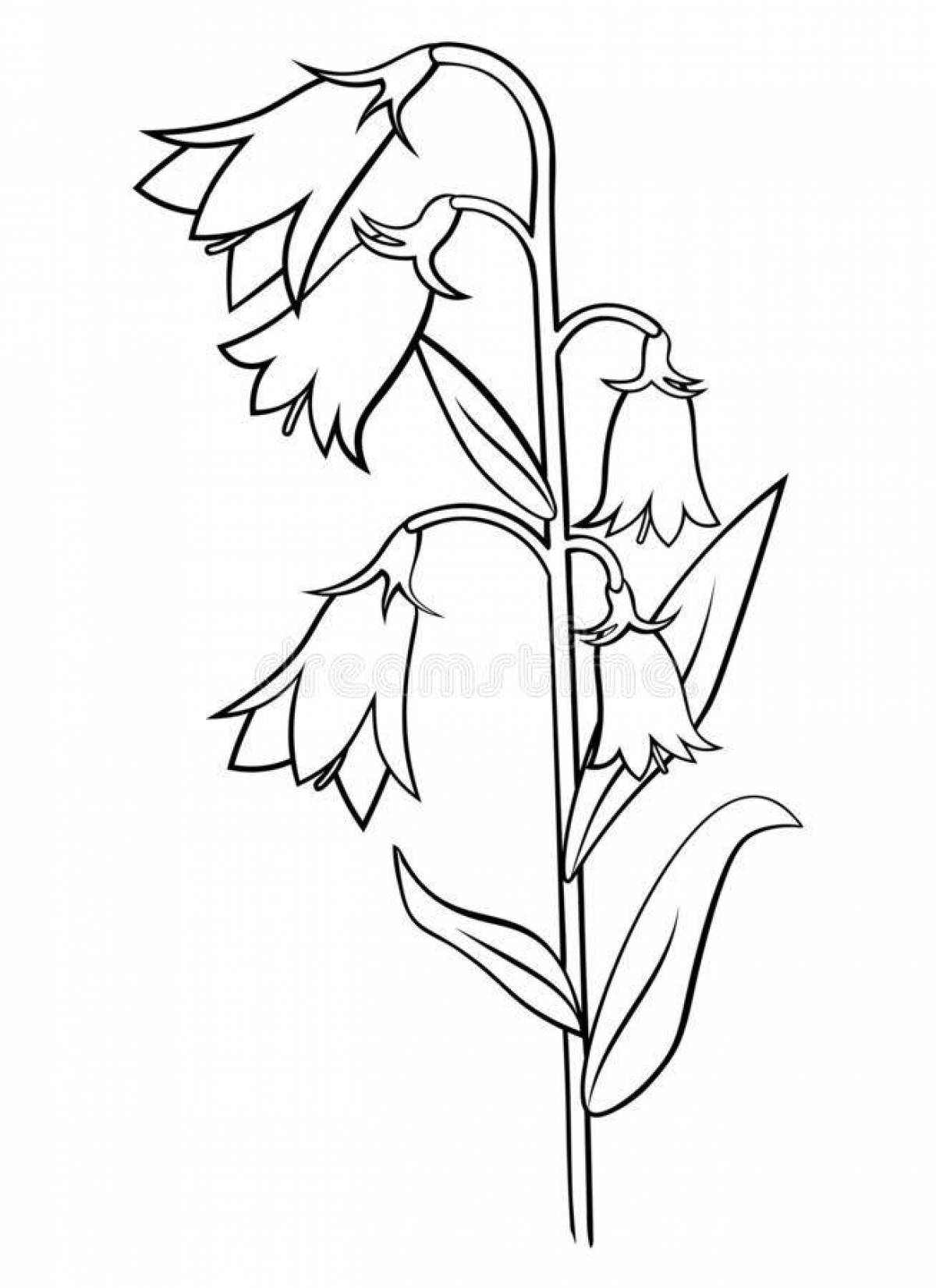 Coloring book shining flower bell