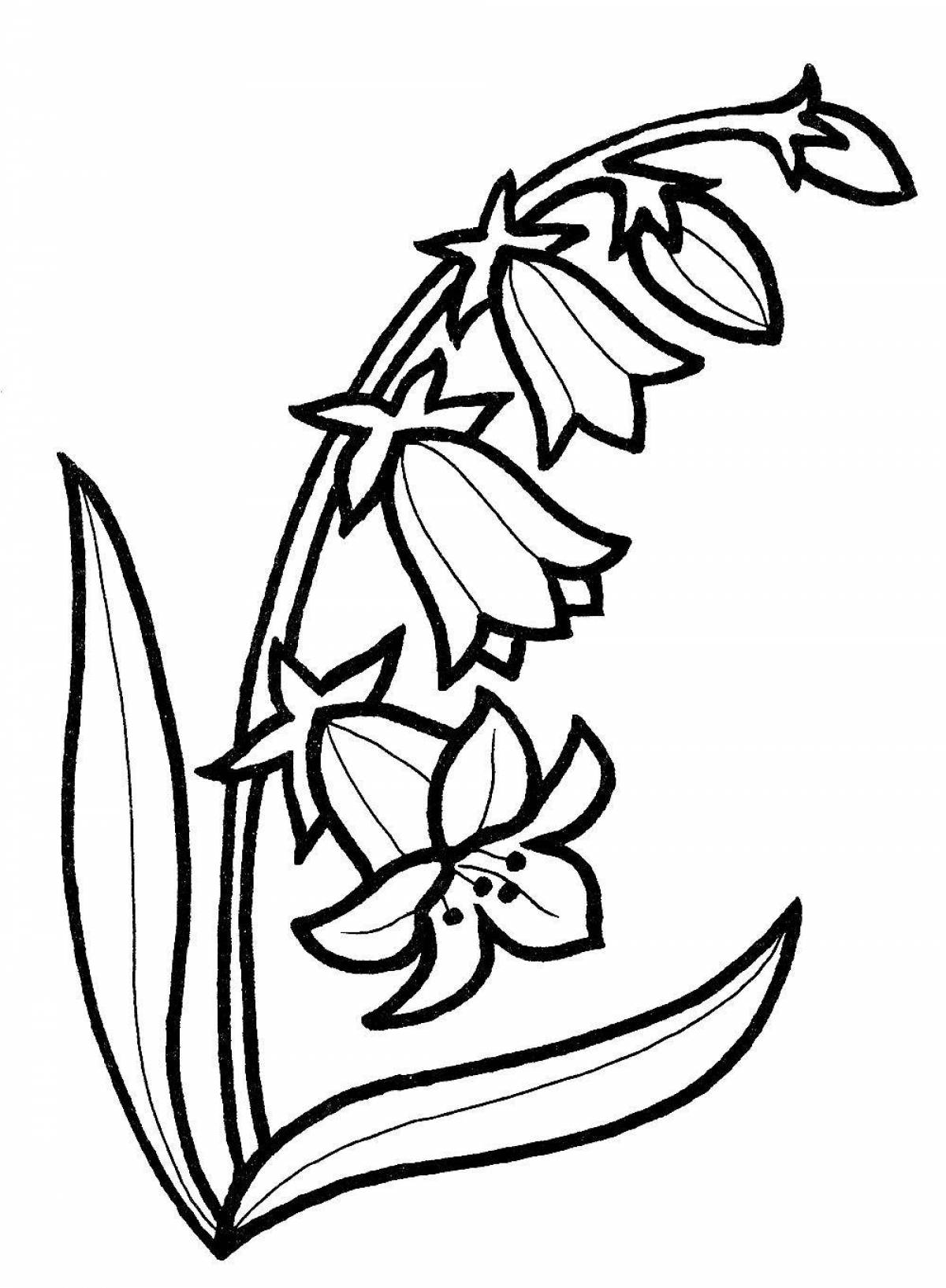 Coloring book exotic bluebell flower