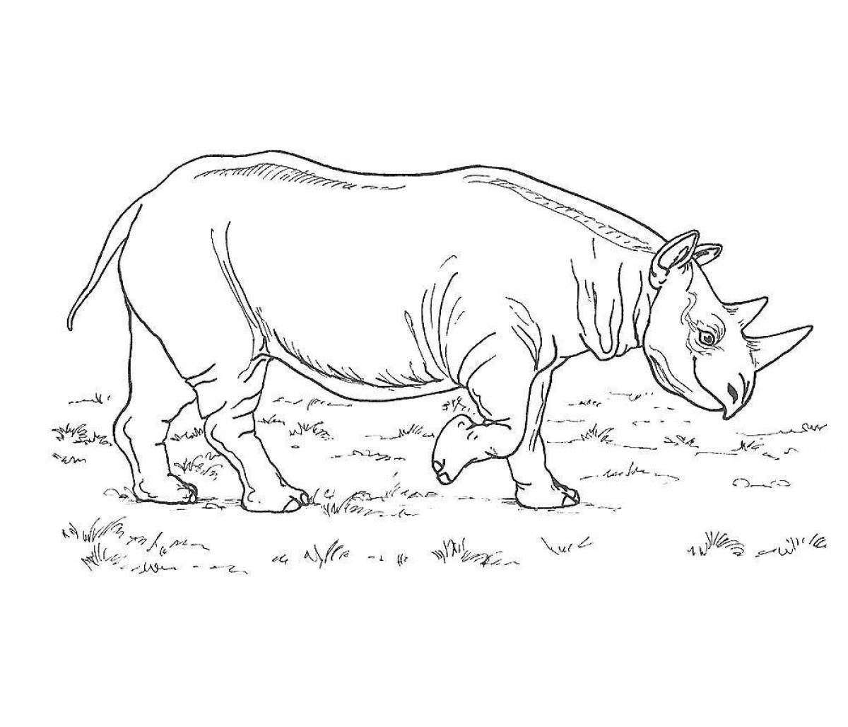 Colorful rhinoceros coloring pages for kids