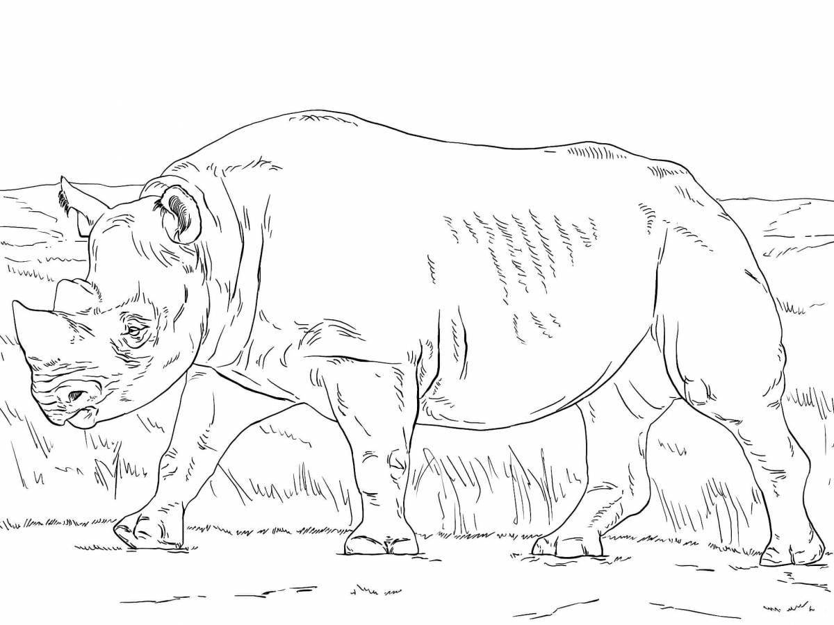 Яркая раскраска носорога для детей