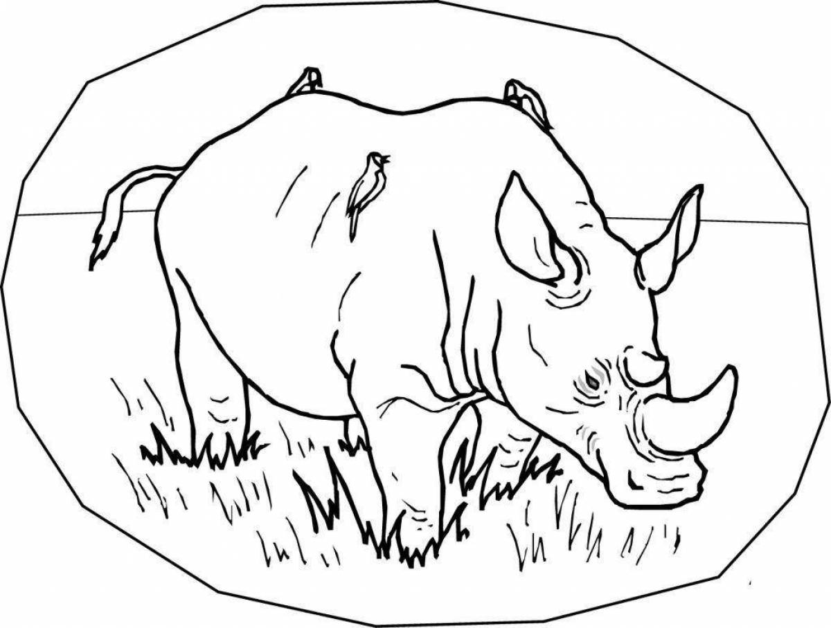 Раскраска «великолепный носорог» для детей