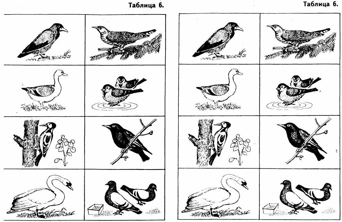 Фантастическая картинка зимующих птиц для дошкольников с именами