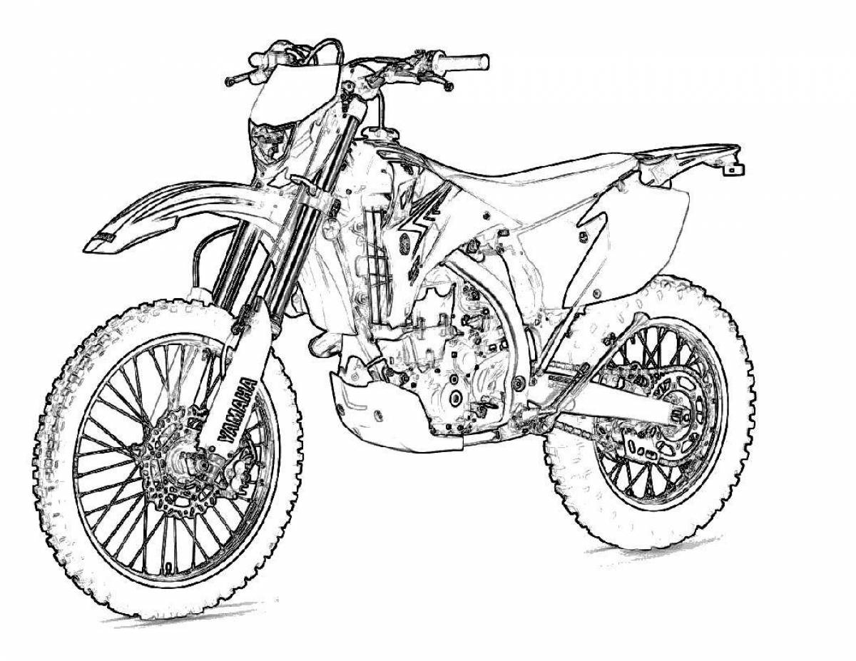 Attractive pit bike coloring