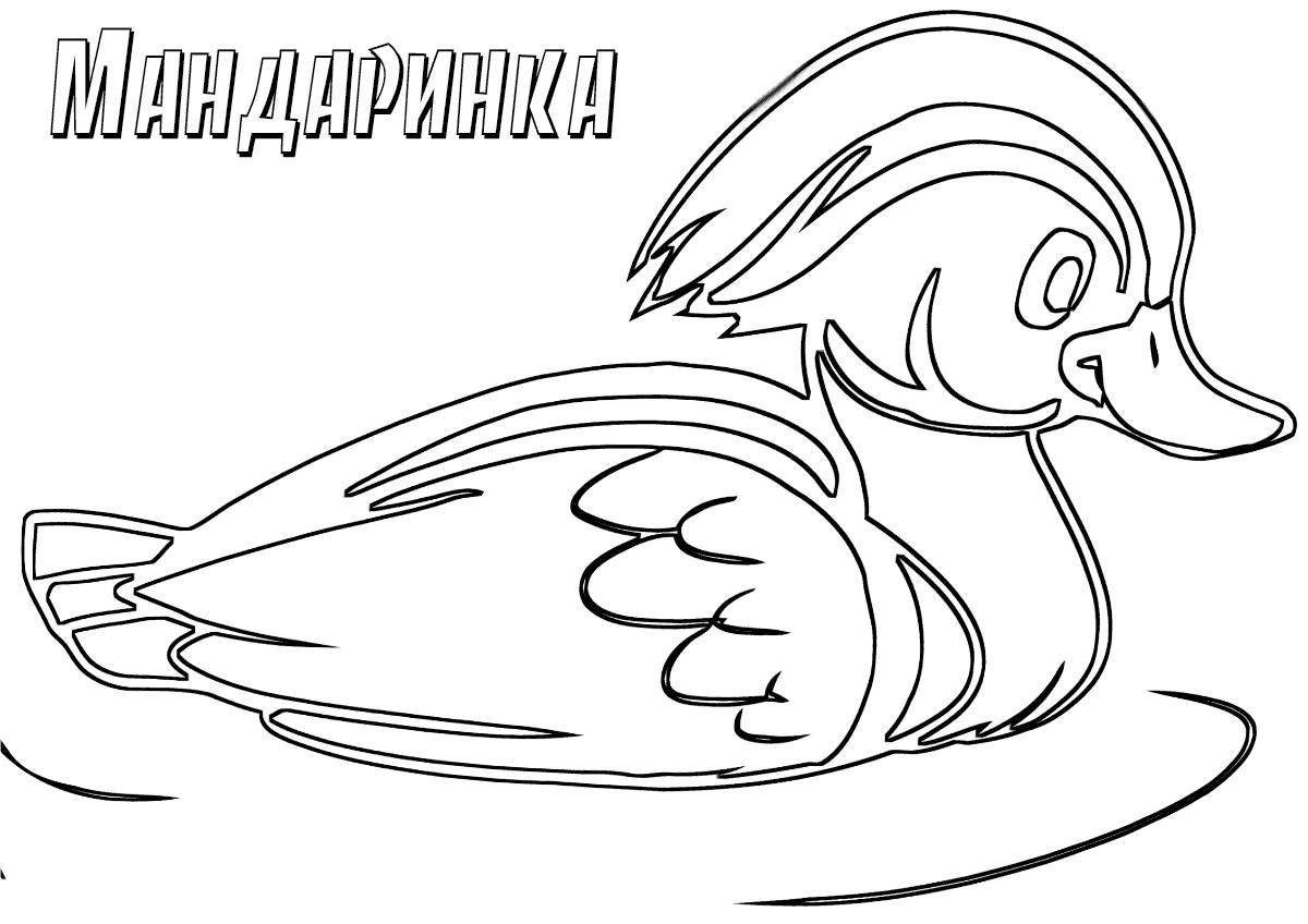 Colorful mandarin duck coloring page