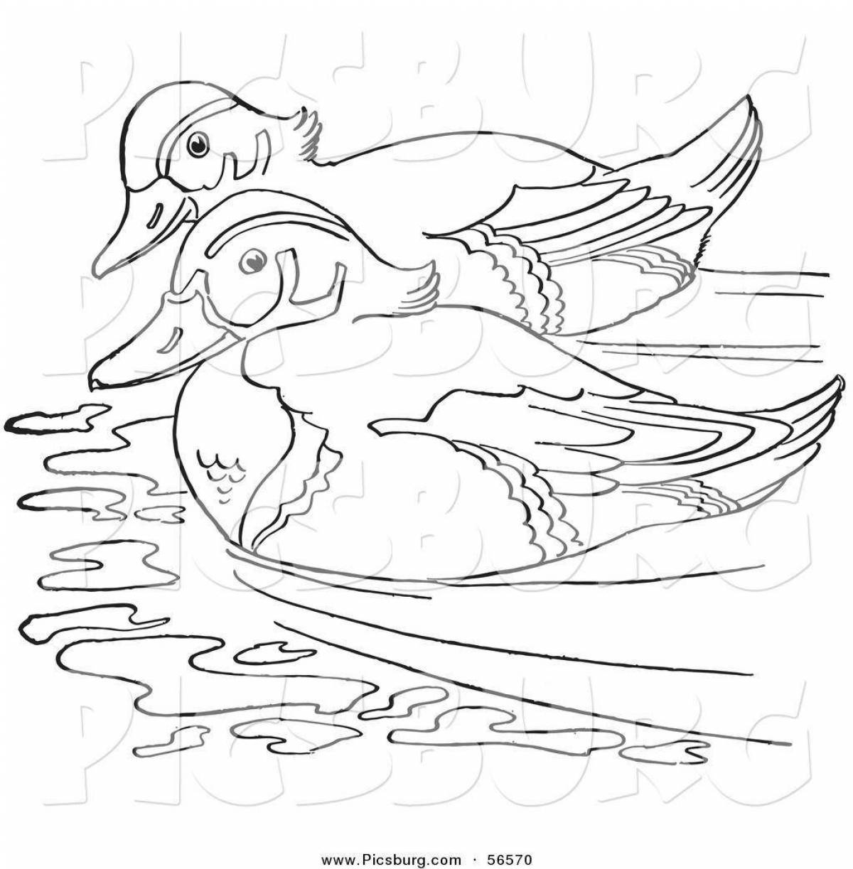 Vibrant mandarin duck coloring page